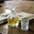 Picture of OWL CORDIAL TUMBLER