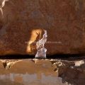 Picture of IBEX SCULPTURE