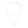 Picture of plectrum Plectrum fender silver