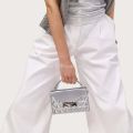 Picture of apex Nano trunck silver